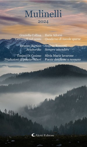 Buch rollen 2024 - rollen,